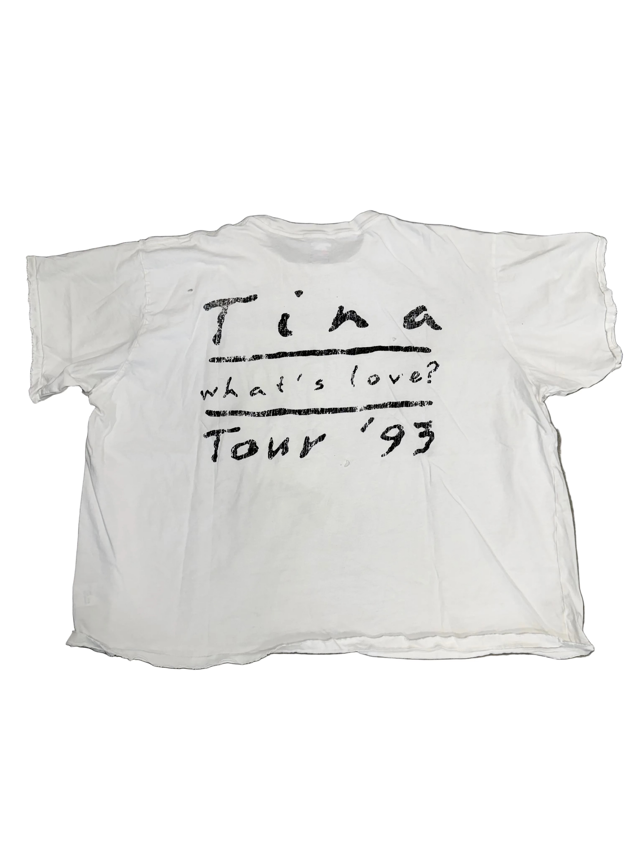 HAPPY MEMORIES DONT DIE HMDD TINA TURNER TEE