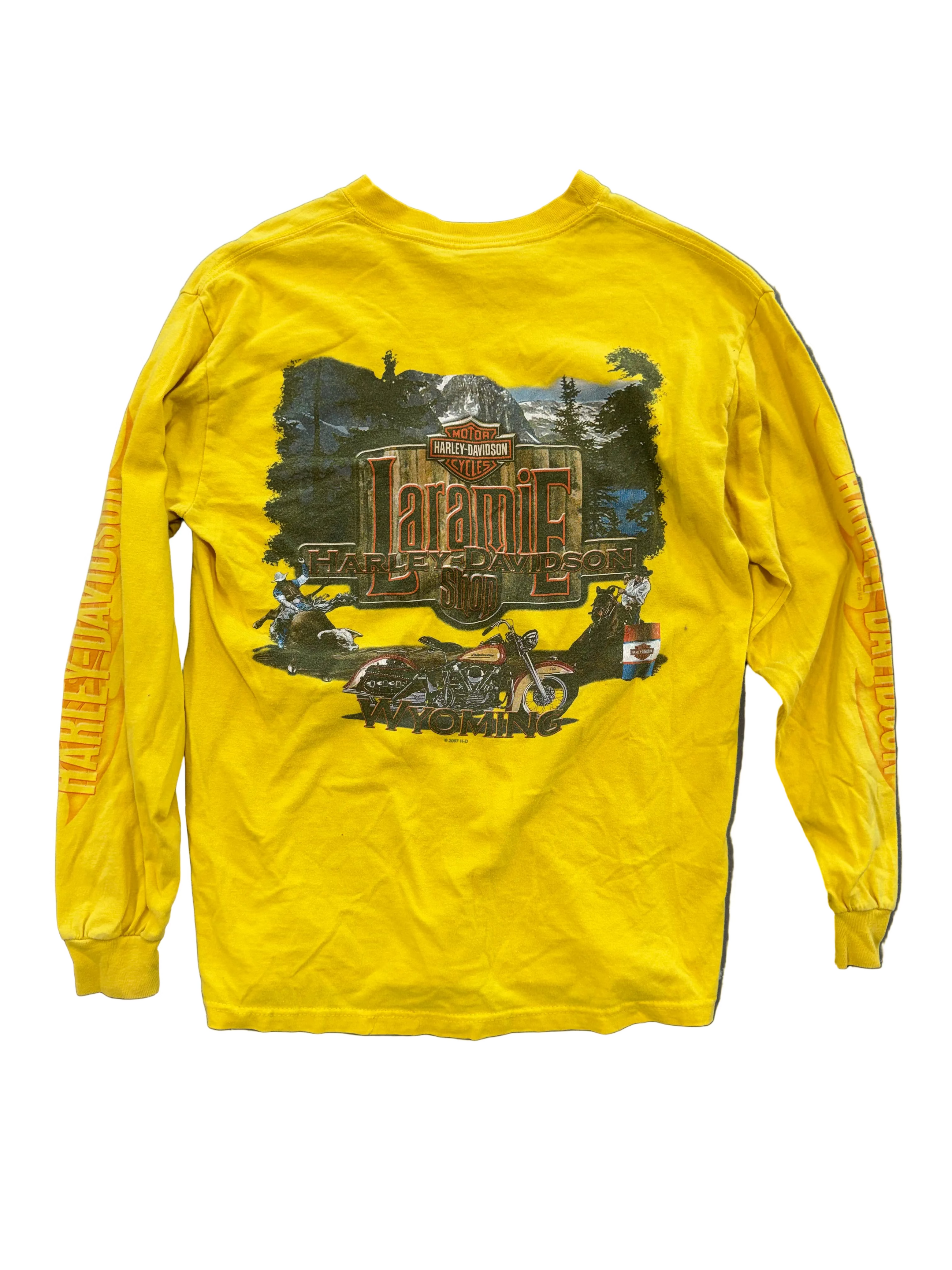 VINTAGE HARLEY DAVIDSON FLAME SLEEVE PRINT TEE