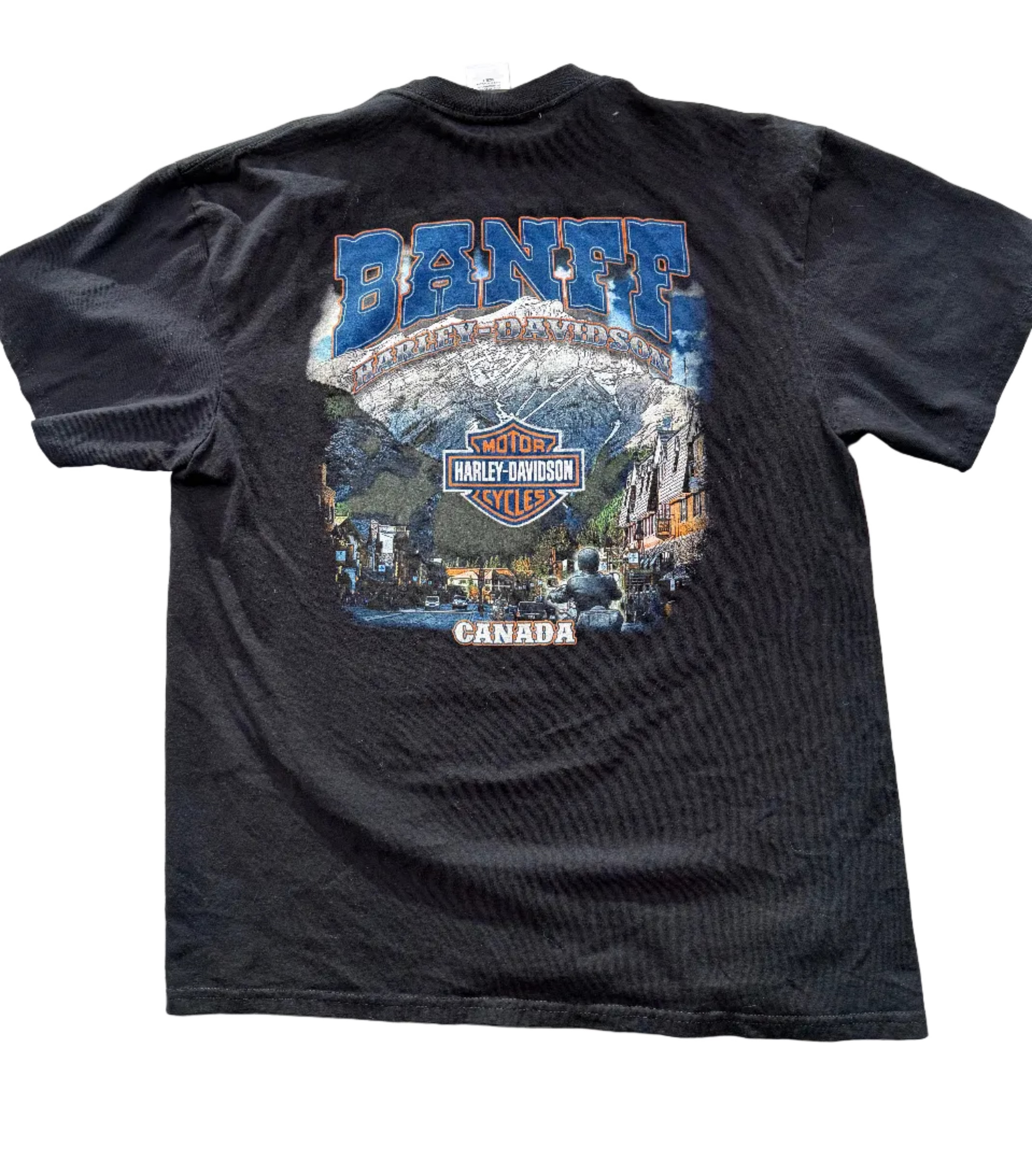 VINTAGE HARLEY DAVIDSON 100 YEARS IN CANADA TEE