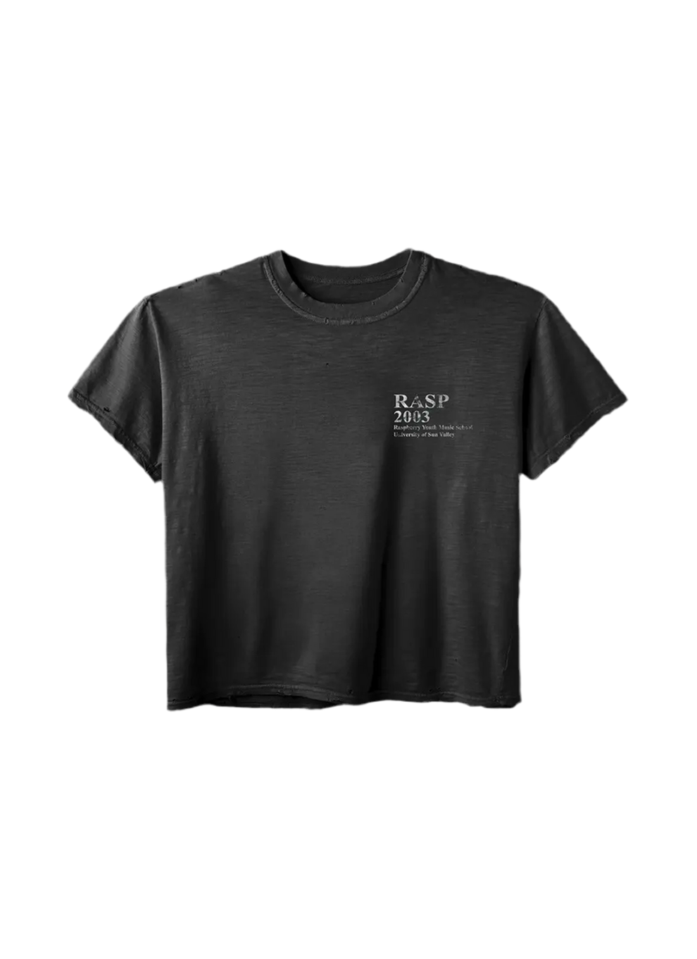 GOLD+VINTAGE GALLERY RASPBERRY HILLS MUSIC TEE
