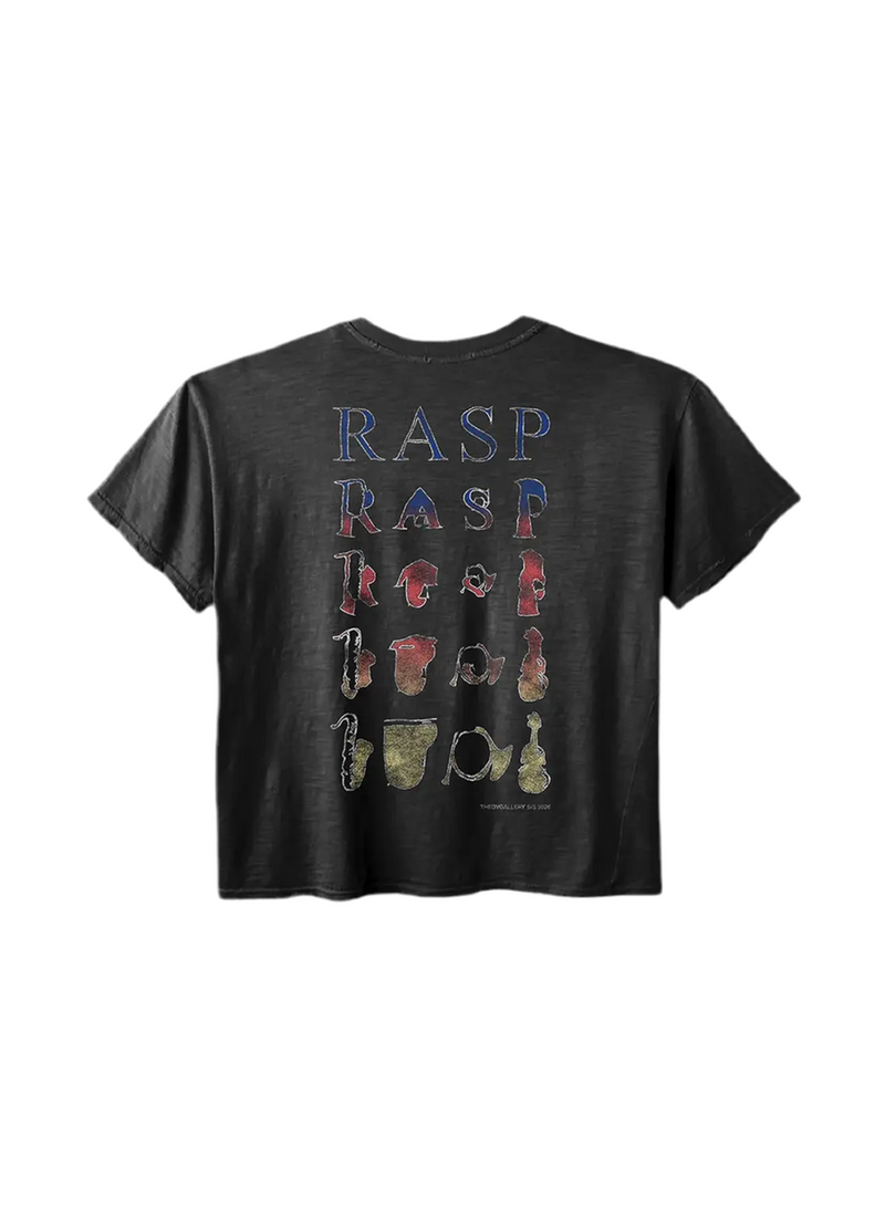 GOLD+VINTAGE GALLERY RASPBERRY HILLS MUSIC TEE