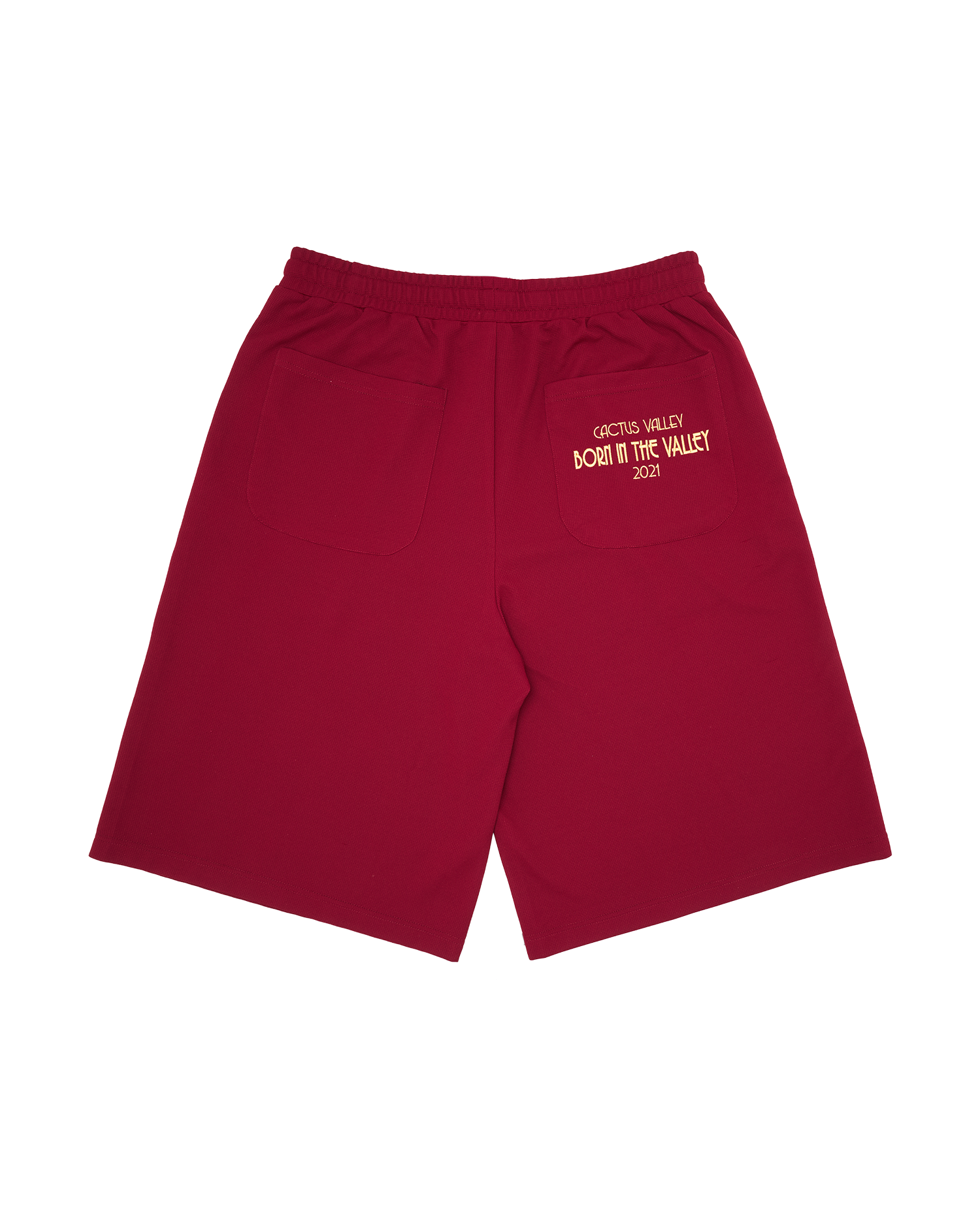 CACTUS VALLEY TRAINER SHORTS