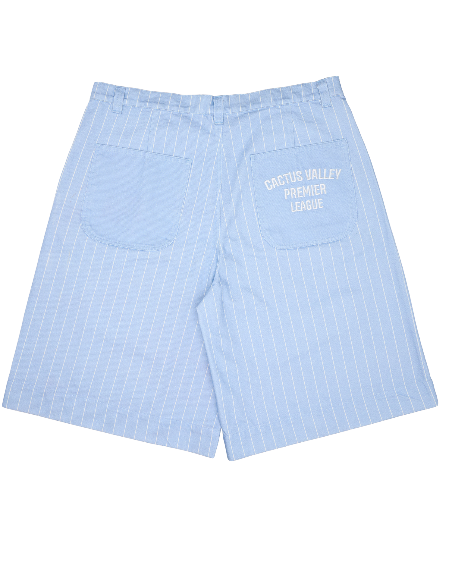 CACTUS VALLEY PLEATED CARGO PINSTRIPE SHORTS