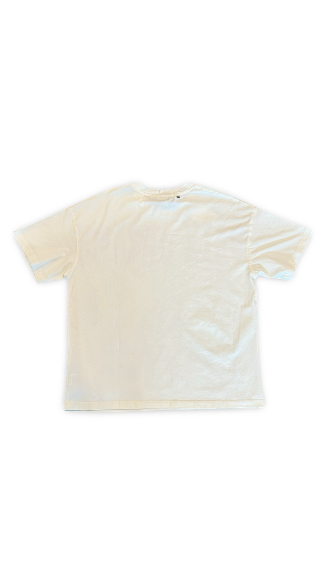 VALE FOREVER ALL DOGS GONTO HEAVEN CREAM TEE