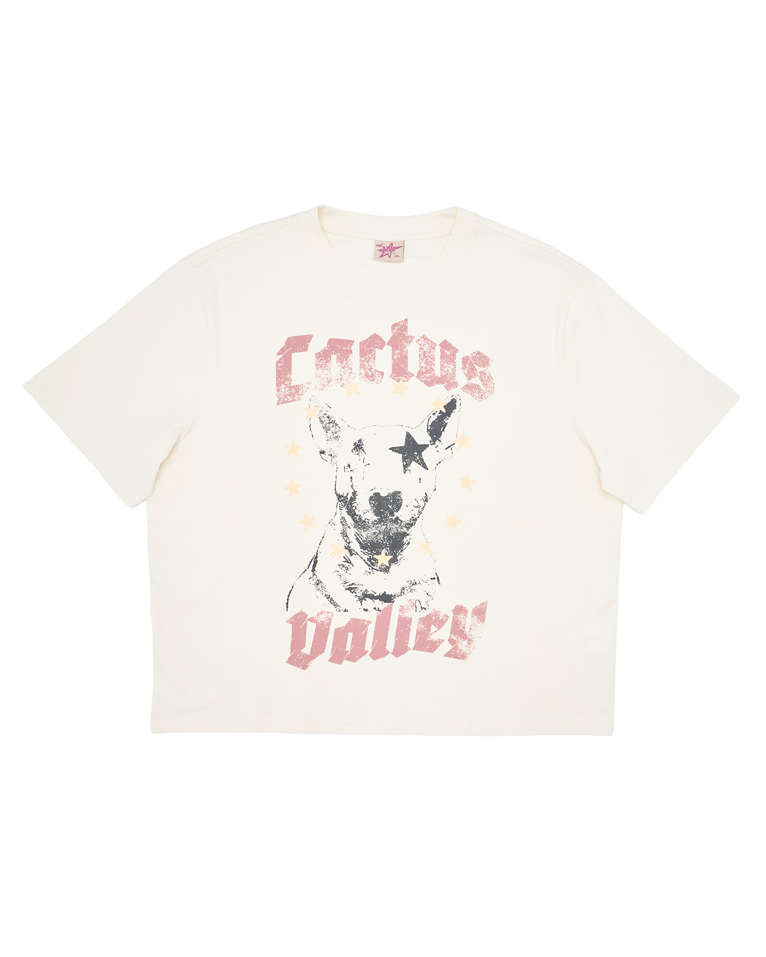 CACTUS VALLEY SPIKE TEE