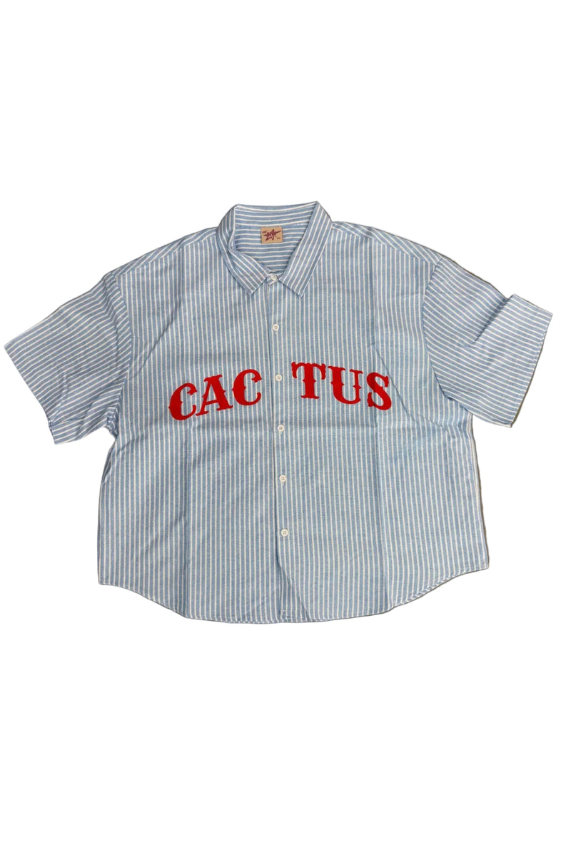 CACTUS VALLEY CENTER STRIP BUTTON UP SHIRT
