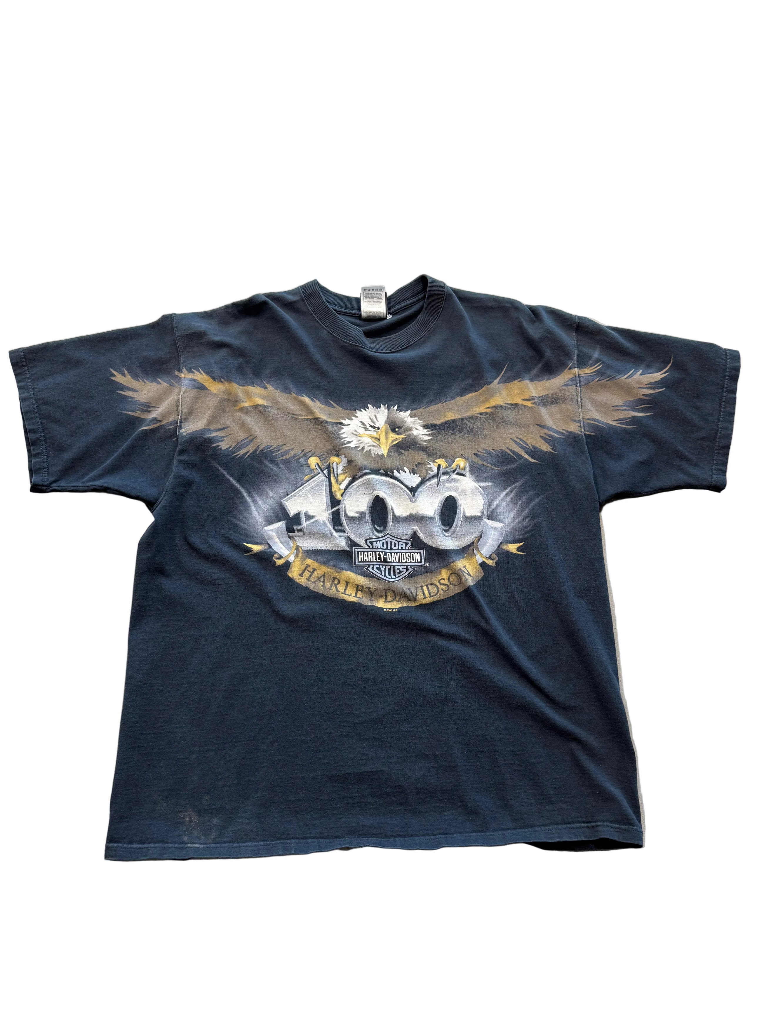 VINTAGE HARLEY DAVIDSON 100 EAGLE TEE