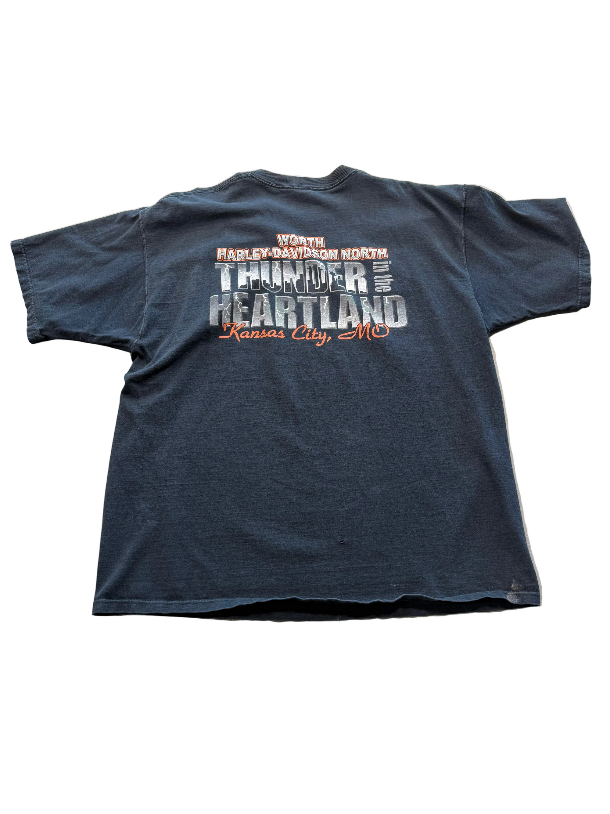 VINTAGE HARLEY DAVIDSON 100 EAGLE TEE