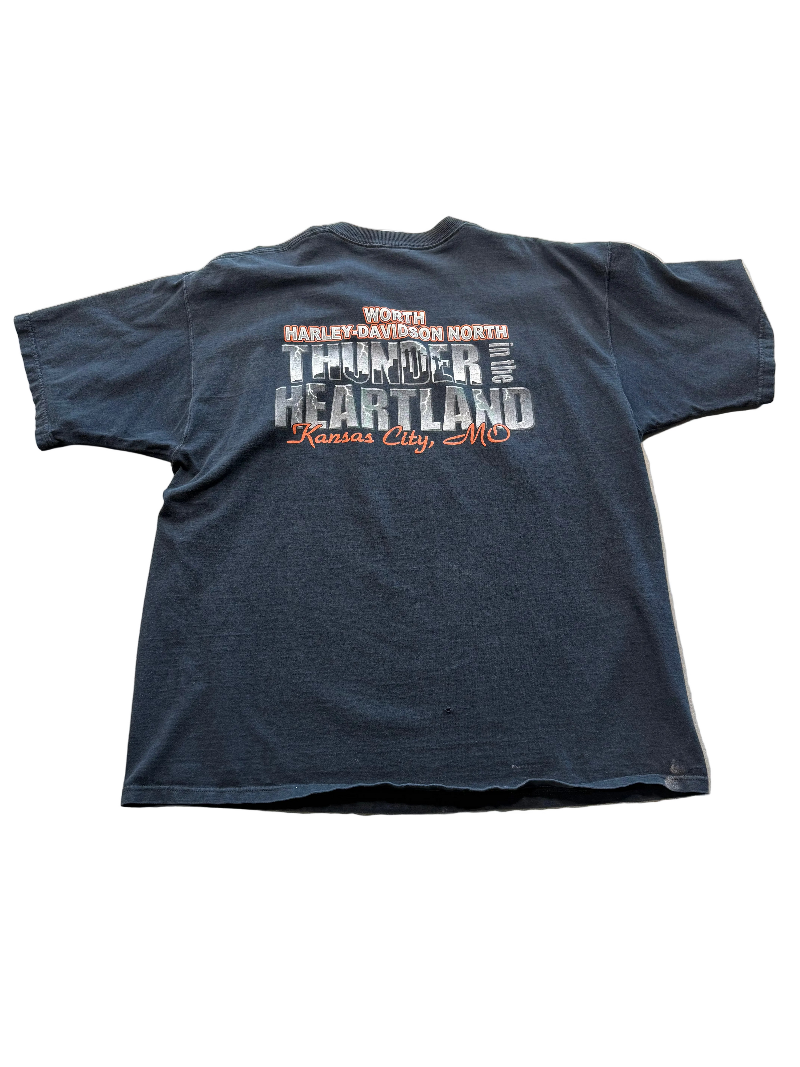 VINTAGE HARLEY DAVIDSON 100 EAGLE TEE