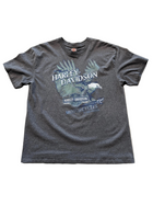 VINTAGE HARLEY DAVIDSON FLYING FREEDOM TEE