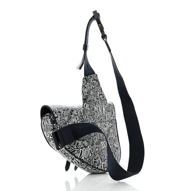 DIOR X SHAWN STUSSY GRAINED CALFSKIN CROSSBODY SADDLEBAG