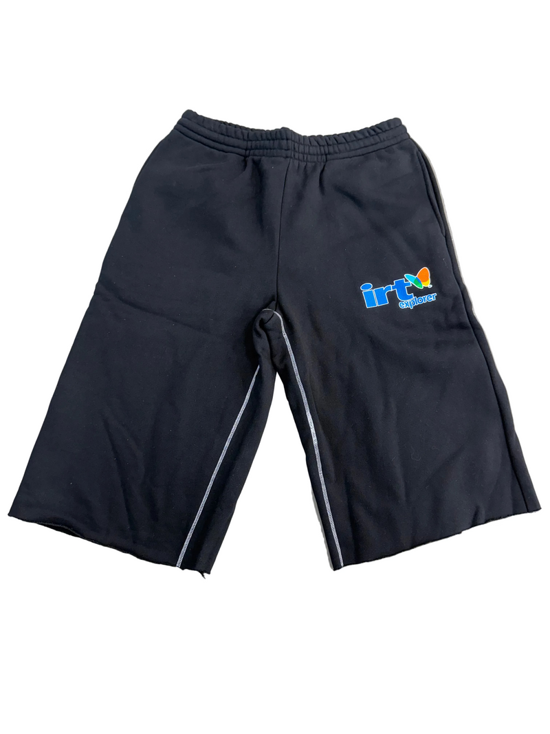 INTERNET RUINS THINGS EXPLORER SHORTS