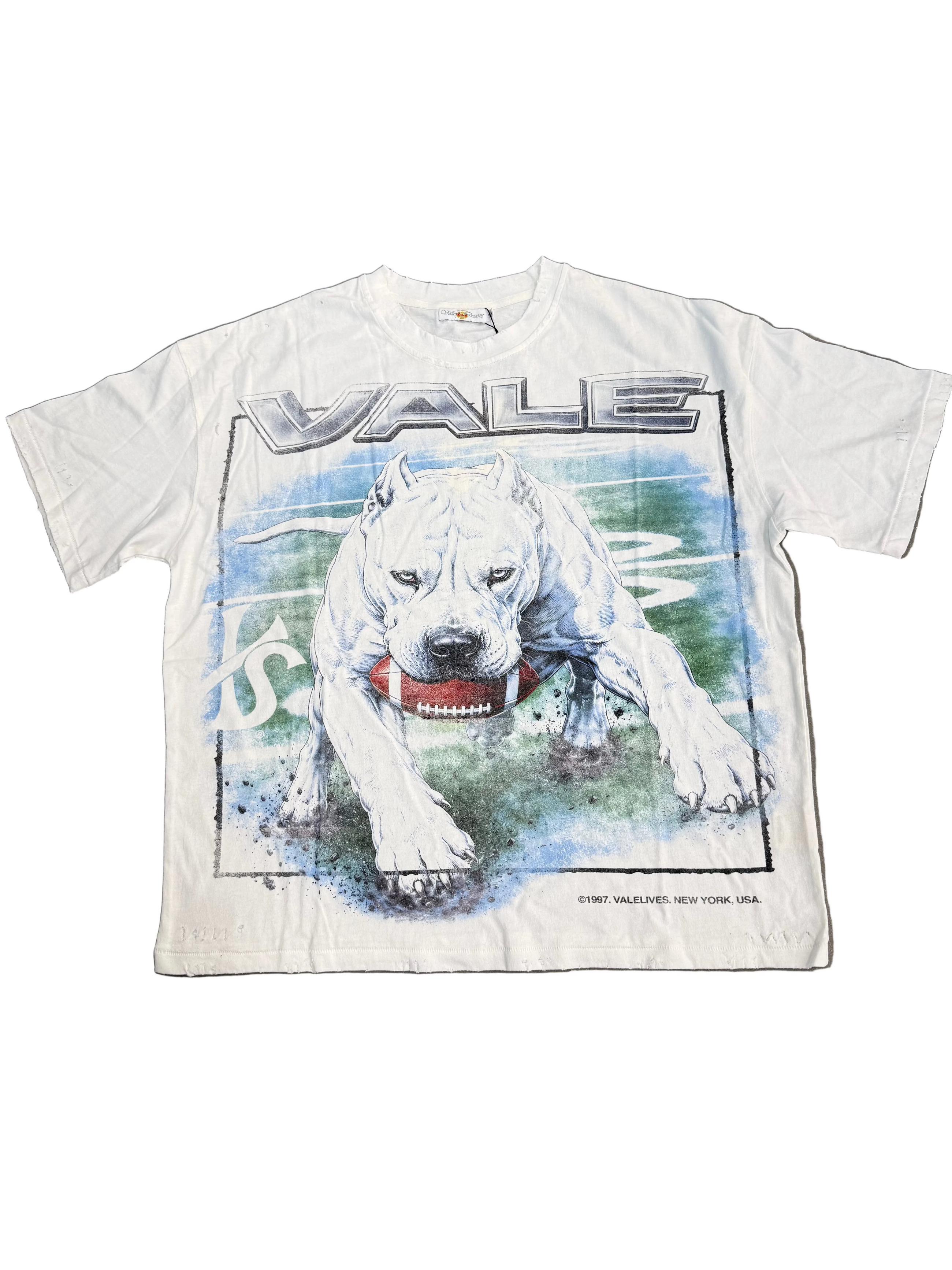 VALE FOREVER CANE TEE